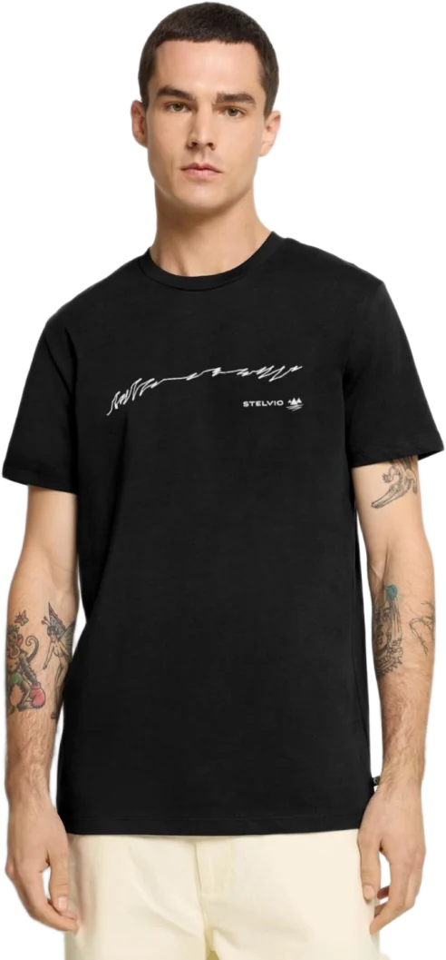 Model im Premium Bio T-Shirt mit dem Motiv Stelvio Pass Straßenverlauf