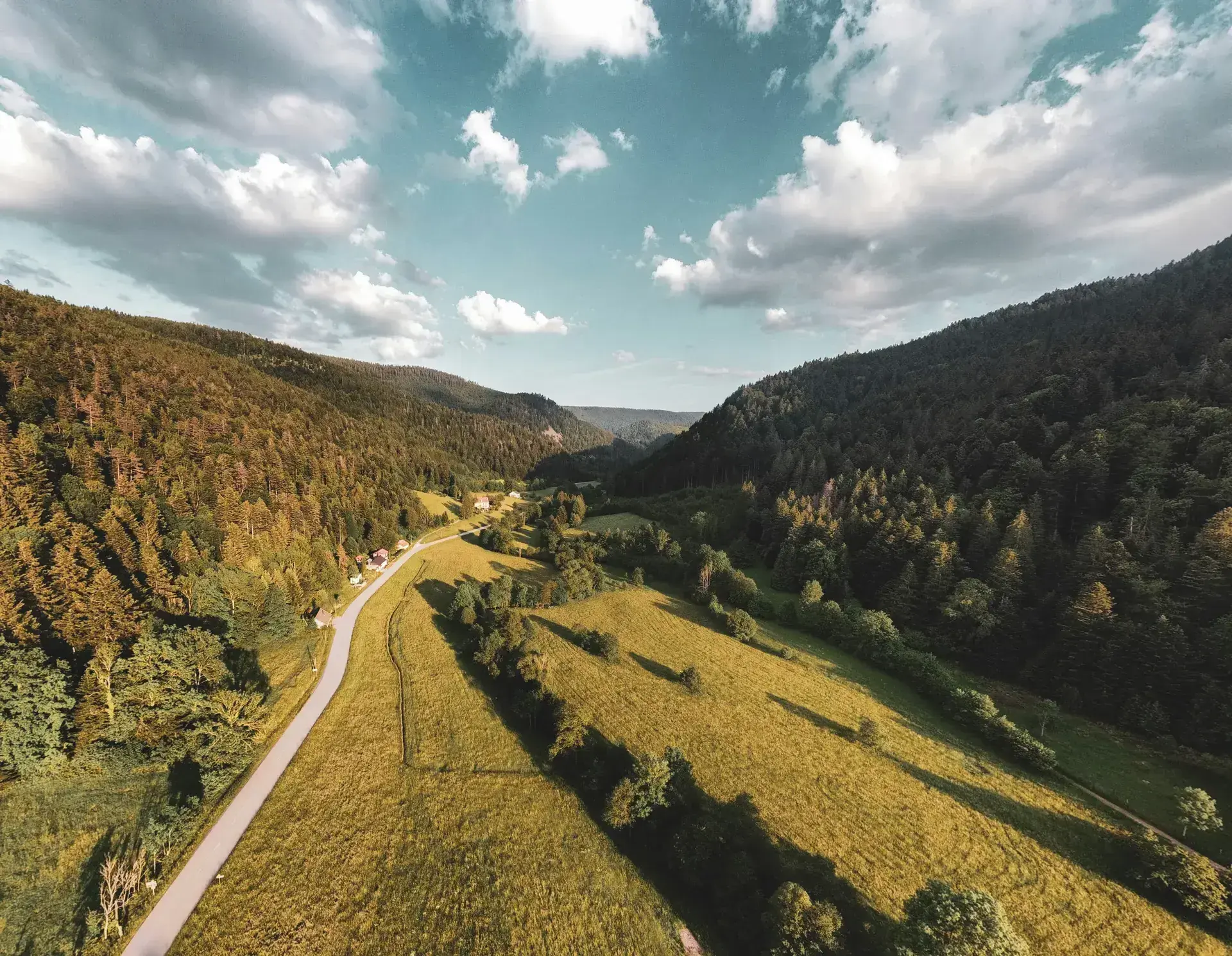 Vosges