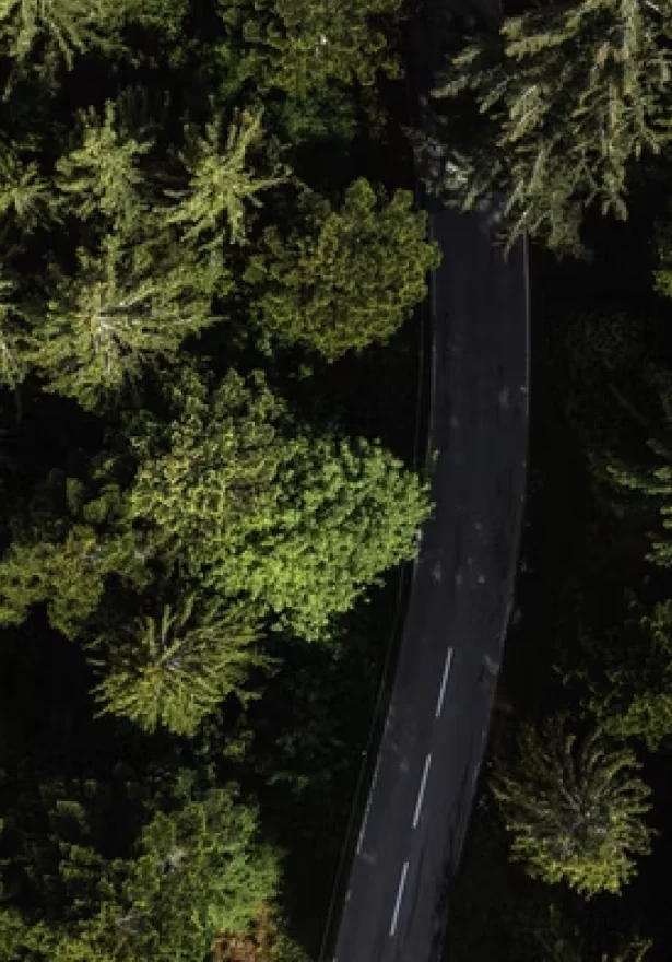 Sportwagentour Schwarzwald