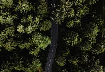 Sportwagentour Schwarzwald