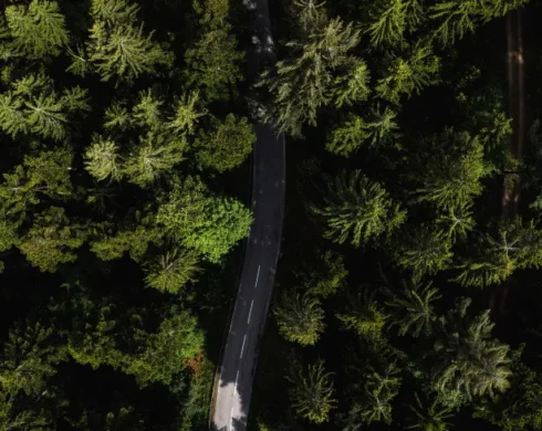 Sportwagentour - Schwarzwald